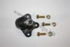 AUTOMEGA 3040703656Q0A Ball Joint
